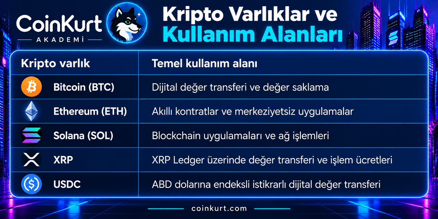 Kripto varlıklar ve kullanım alanları